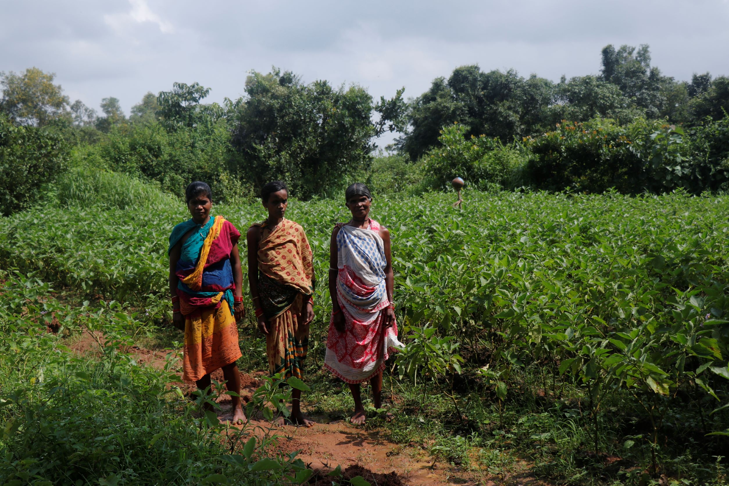 Rural women leading community-driven change