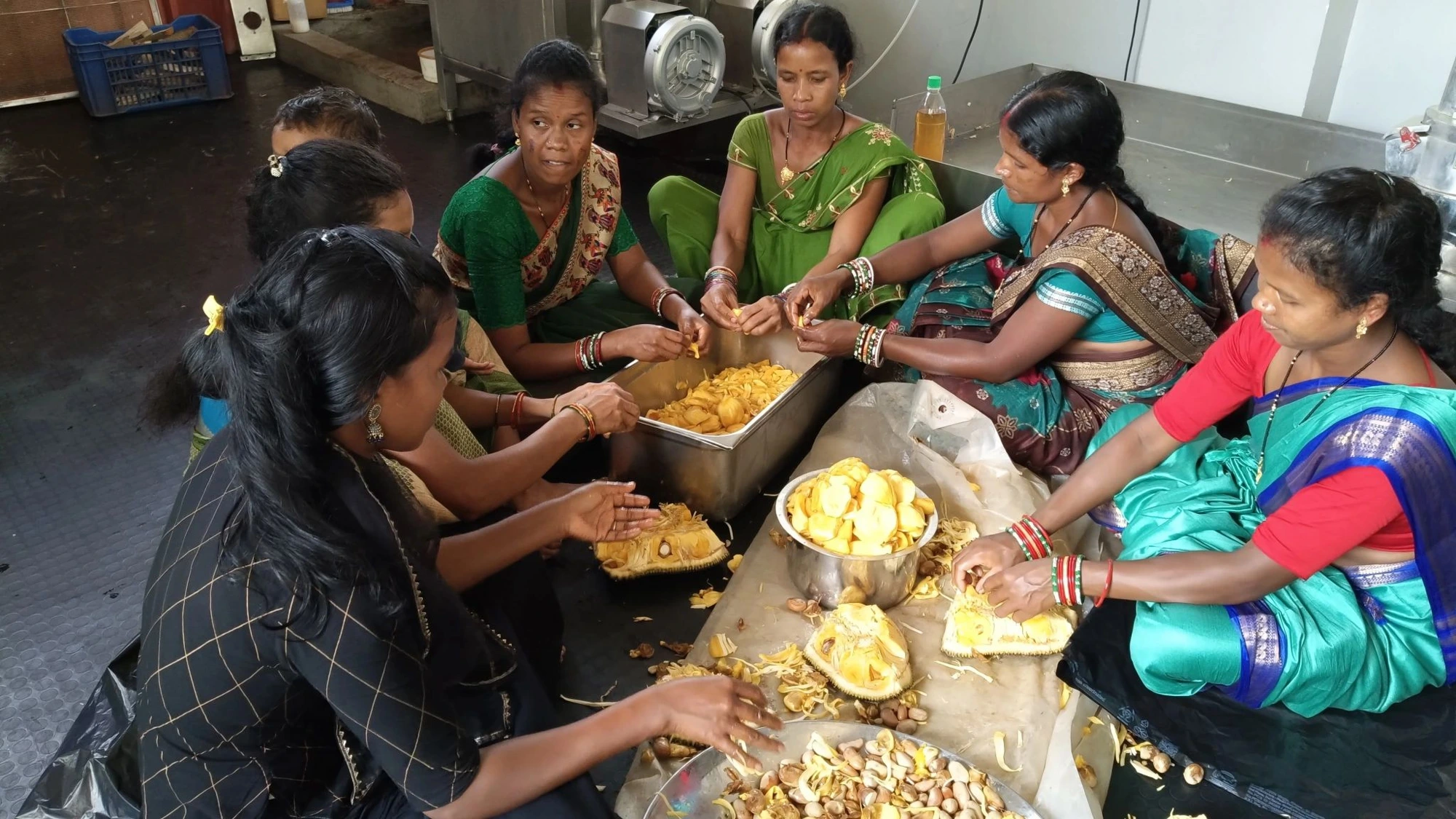 A Bonda woman operating an industrial food dehydration oven with green leafy produce