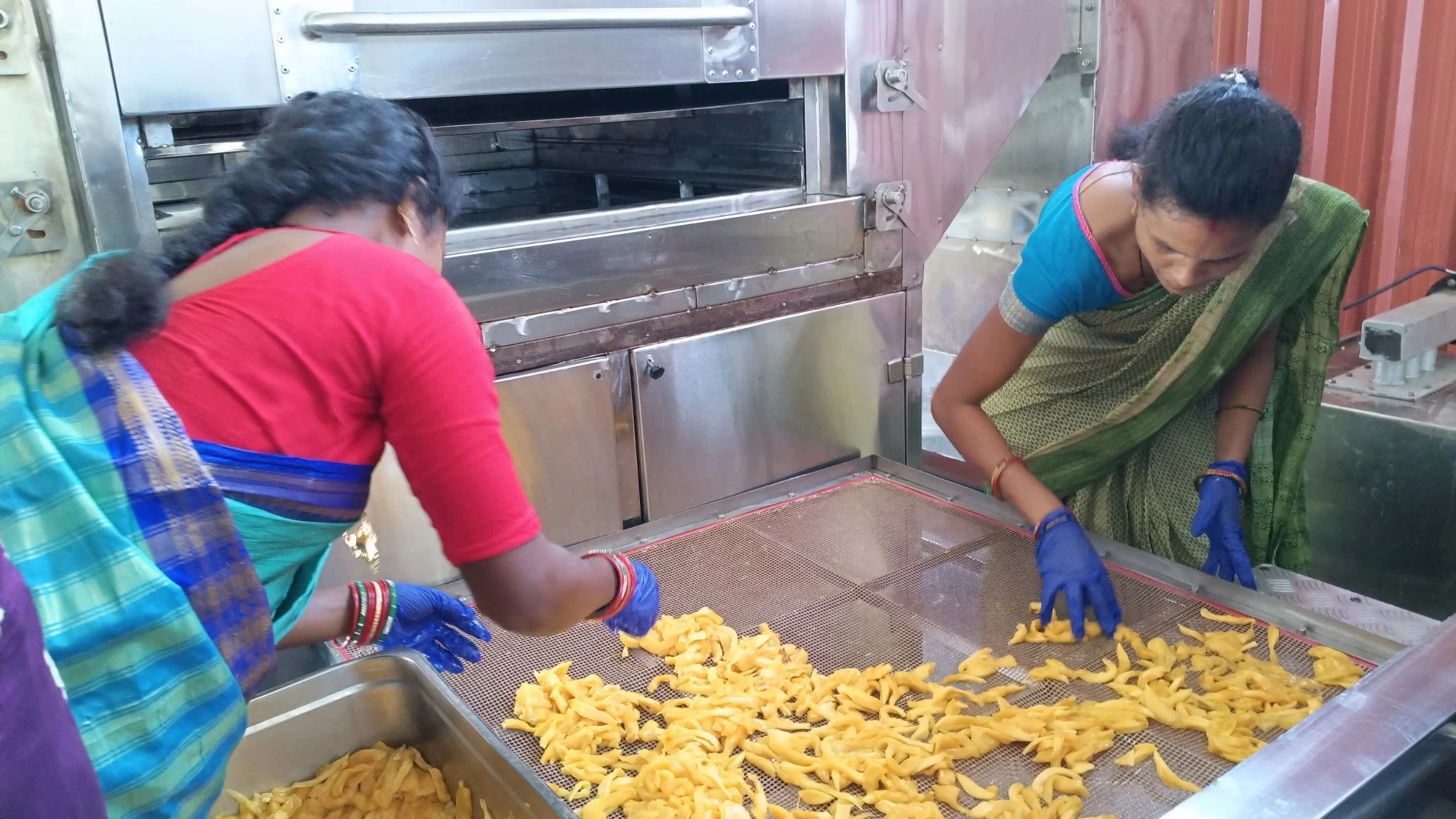 Bonda women learning food drying technology, spreading produce on drying trays
