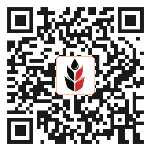 Scan to donate to Rise Against Hunger India