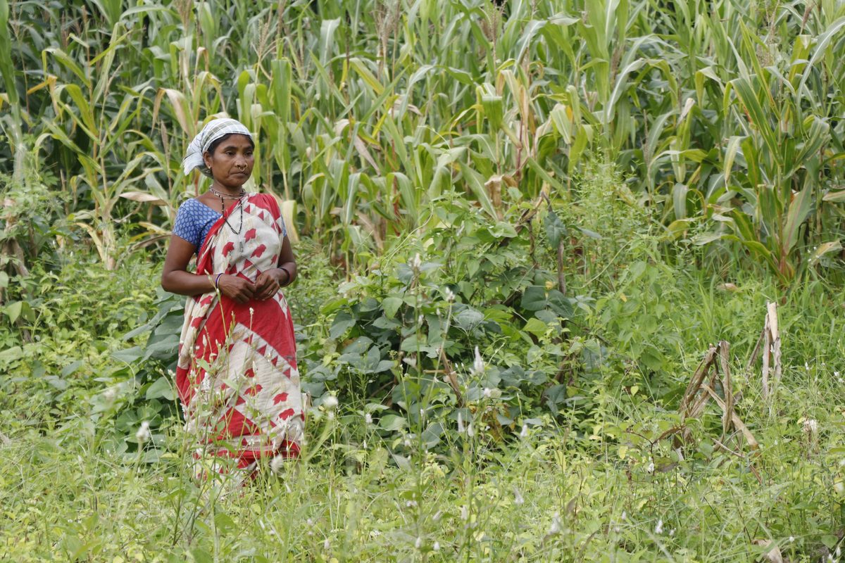 Sustainable Livelihoods